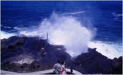 Hawaii scene