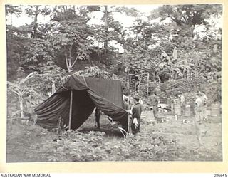 RABAUL, NEW BRITAIN. 1945-09-14. JAPANESE WORKING PARTY ERECTING TENTS FOR TROOPS OF HEADQUARTERS 11 DIVISION IN THE FORMER GOVERNMENT HOUSE AREA. AUSTRALIAN TROOPS OCCUPIED RABAUL AFTER THE ..