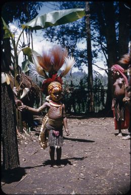 Decorated children (2) : The Tengerap Clan Singsing, Wahgi Valley, Papua New Guinea, 1954 / Terence and Margaret Spencer