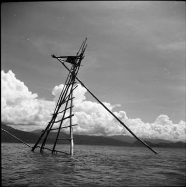 Bougainville Island