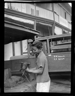 Young man holding piglet, Papeete, Tahiti