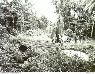 NEW IRELAND, 1945-10. ALLIED AND JAPANESE SERVICE PERSONNEL INSPECTING AN ENCLOSED AREA BESIDE A WRECKED AIRCRAFT. THE ENCLOSED AREA WAS PROBABLY THE BURIAL SITE OF THE AIRCRAFT'S CREW AND THE ..