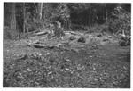 Person standing by felled tree in the middle of circle of stones