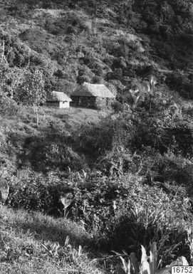 house, hut, photograph,