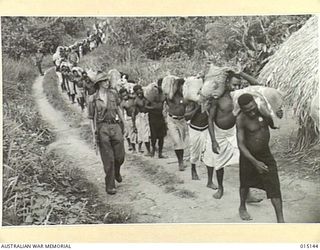 1943-06-28. NEW GUINEA. WAU-MUBO AREA. NATIVE CARRIERS SET OUT ALONG THE TRACK IN THE WAU-MUBO AREA, CARRYING SUPPLIES TO FORWARD AREAS. (NEGATIVE BY G. SHORT)