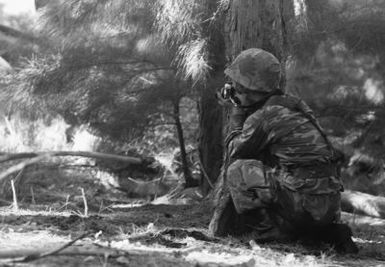 Photographer, SGT J. S. Orlando steadies his camera as he prepares to take a picture. The photographer is undergoing combat awareness field training to prepare him for combat situations