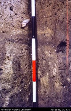 SAD/IV, West profile showing in situ volcanic ash and silts looking West (Horizontal/vertical/vertical/horizontal)