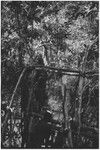 Bridge-building: men climb up newly finished bridge