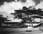 University Of Hawaii Library, Honolulu, 1971