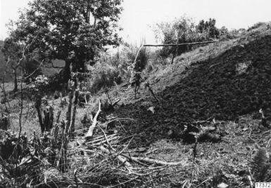 vacasiro, landscape, field, photography, ph