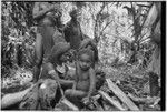 Pig festival, uprooting cordyline ritual, Tsembaga: people in ancestral shrine where sacrifice of female pigs is taking place