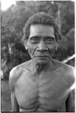 I'arifu of Gounaakafu, who stormed the tax house with Tagiailamo