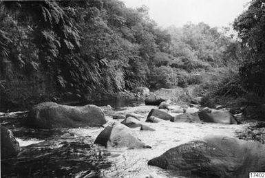 ["stenblock, å, vegetation, fotografi, photograph"]