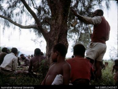 Males seated around tree
