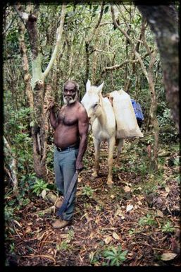 Team member with pack-horse