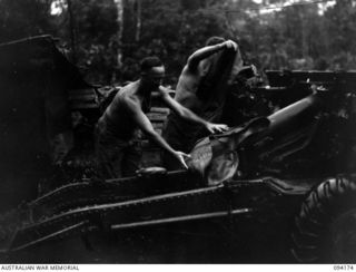 BOUGAINVILLE. 1945-07-19. GUNNERS OF 6 BATTERY, 2 FIELD REGIMENT, ROYAL AUSTRALIAN ARTILLERY, COVERING A 25-POUNDER AFTER PUTTING DOWN HARRASSING FIRE ON JAPANESE FORCES EAST OF THE MIVO RIVER. ..
