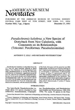 Pseudochromis kolythrus, a new species of dottyback from New Caledonia : with comments on its relationships (Teleostei, Perciformes, Pseudochromidae)