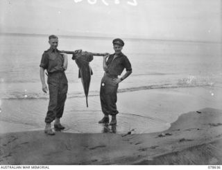 BOUGAINVILLE ISLAND. 1945-01-19. ARTHUR MATHERS, AUSTRALIAN DEPARTMENT OF INFORMATION (1) AND HAYDEN LENNARD, AUSTRALIAN BROADCASTING COMMISSION (2), DEPARTMENT OF PUBLIC RELATIONS ATTACHED TO 2ND ..