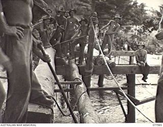 WUNUNG PLANTATION, NEW BRITAIN. 1944-12-30. TROOPS OF THE 13TH FIELD COMPANY, ERECTING TIMBER STRINGERS FOR A NEW BRIDGE ACROSS THE WUNUNG RIVER. IDENTIFIED PERSONNEL ARE: SAPPER KING (1); LANCE ..