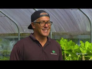 The World's Largest Native Hawaiian Plant Nursery | PBS HAWAIʻI