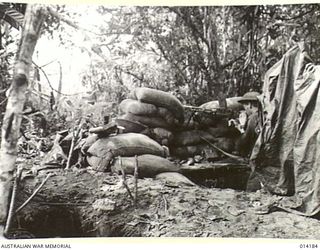 1943-01-22. PAPUA. SANANANDA AREA. A FORWARD OBSERVATION POST IN THE SANANANDA AREA