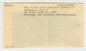 [Bubbia in New Caledonia, envelope IE41-094]