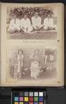 Two Fijian and [two] Solomon Islanders; Two Samoan women and children, [c1880 to 1889]