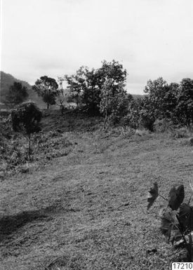 ["skog, landskap, byggnad, by, hus, fotografi, photograph", "skog, landskap, byggnad, by, hus, fotografi, photograph"]