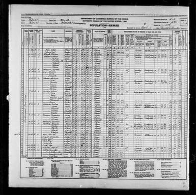 1940 Census Population Schedules - Hawaii - Kauai County - ED 4-3