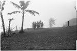 Pig festival, singsing preparations, Tsembaga: dancers