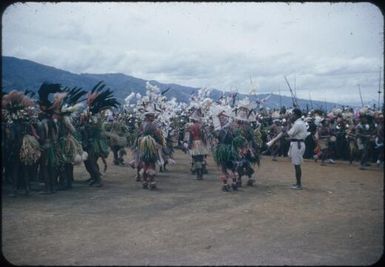 New Year's Day festivities at Minj Station, 1955, coastal and highland dancers in the dance square : Minj Station, Wahgi Valley, Papua New Guinea, 1954 / Terence and Margaret Spencer