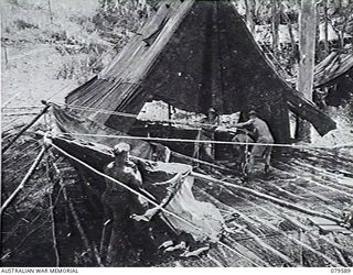 ORO BAY, NEW GUINEA. 1943-04. PERSONNEL OF 10TH FIELD AMBULANCE BUILDING A NEW WARD BY BRIGADING THREE GS DOUBLE MARQUEES TOGETHER AND MAKING A FLOOR OF ARC MESH