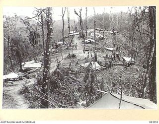 BOUGAINVILLE, SOLOMON ISLANDS. 1944-12-13. LITTLE GEORGE HILL FROM GEORGE HILL SHOWING 9 INFANTRY BATTALION TROOPS IN THE AREA AND INDICATOR STRIPS POSITIONED TO ASSIST AIR STRIKES ON ARTILLERY ..