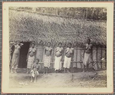 Native house, Aoba, New Hebrides [Vanuatu]