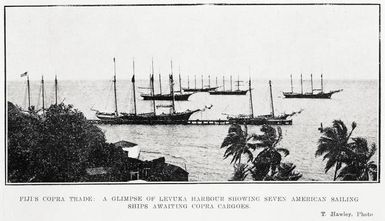 Fiji's copra trade: a glimpse of Levuka Harbour showing seven American sailing ships awaiting copra cargoes