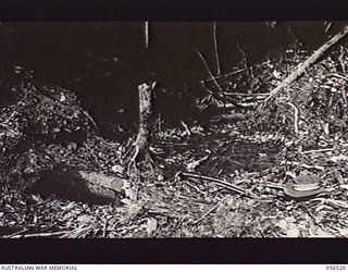 REINHOLD HIGHWAY, NEW GUINEA, 1943-09-04. ABANDONED TRAM LINE FROM BULLDOG TO GRIM POINT. ONE OF THE GREATEST DIFFICULTIES ENCOUNTERED DURING THE BUILDING OF THIS LINE WAS THE "MELON HOLE", ..