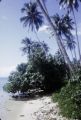 French Polynesia, beach on Moorea Island