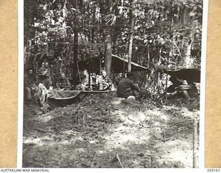 NEW GUINEA, 1943-07-27. UNITED STATES BATTALION ADVANCED DRESSING STATION IN THE 2/5TH BATTALION AREA NEAR MOUNT TAMBU