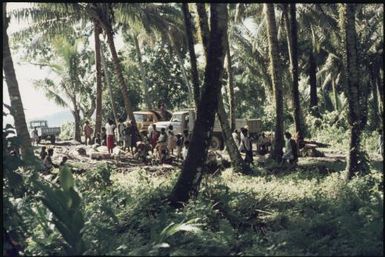 Market (Kieta?) (1) : Bougainville Island, Papua New Guinea, March 1971 / Terence and Margaret Spencer