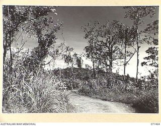 COCONUT RIDGE, SATTELBERG, NEW GUINEA. 1944-03-27. THE ROAD ON THE CREST OF COCONUT RIDGE FROM AN OPERATIONAL AREA OF THE 26TH INFANTRY BRIGADE SHOWING THE COCONUT RIDGE BATTLE SIGN PARTLY OBSCURED ..
