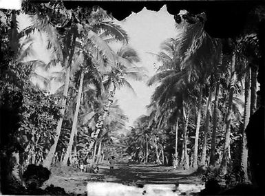 Entrance to a Cook Islands Village