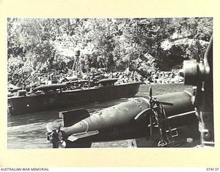 BAM ISLAND, NEW GUINEA. 1944-06-17. UNITED STATES NAVY TORPEDO BOATS STANDING OFF SHORE COVERING A PATROL FROM THE 24TH INFANTRY BATTALION WHO ARE INVESTIGATING RUMOURS OF A JAPANESE RADIO STATION ..