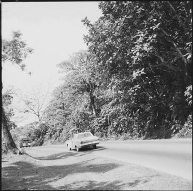 A car and a bus on Edinburgh Drive, Suva, Fiji, 1966 / Michael Terry