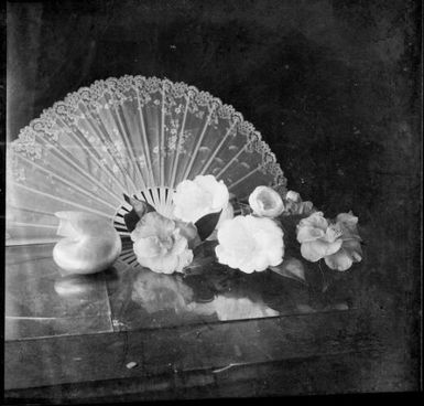 Camellias and a nautilus shell in front of an open fan, Melbourne, ca. 1955 / Sarah Chinnery