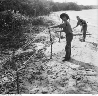 GOODENOUGH ISLAND, NEW GUINEA. 1942-10. IMITATION BARBED WIRE ENTANGLEMENTS MADE FROM CREEPERS. THE ISLAND WAS SEIZED BY A SMALL FORCE OF AUSTRALIANS AND BY BLUFF AND DECEPTION THEY LED THE ..