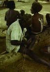 Village elder works on an ornament while listening to a political speech, Maprik sub division, 1964