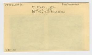 [Freycinetia in New Caledonia, envelope IE41-136]