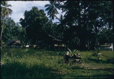 Coastal villages between Fai'ava and Mataita (4) : Goodenough Island, D'Entrecasteaux Islands, Papua New Guinea, 1956-1958 / Terence and Margaret Spencer