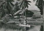Tahitian huts