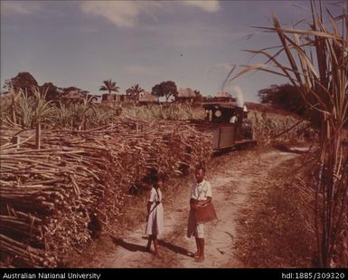 Fijian and Indian children beside Cane Train